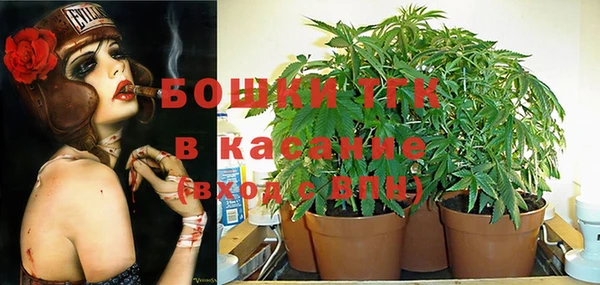 марки lsd Бородино