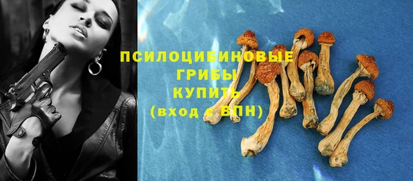 марки lsd Бородино