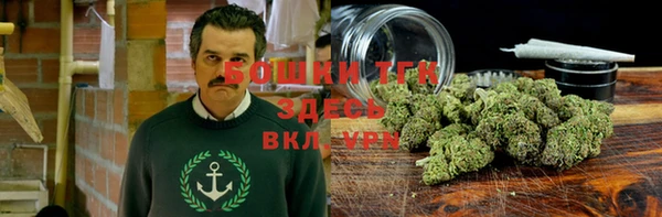 марки lsd Бородино
